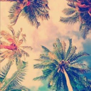 Meet your Posher, Ava